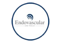 Logo Endovascular Colorido