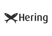 Logo Hering Colorido